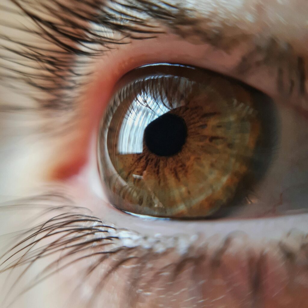 Detailed close-up of a human eye reflecting light, focusing on iris and eyelashes.